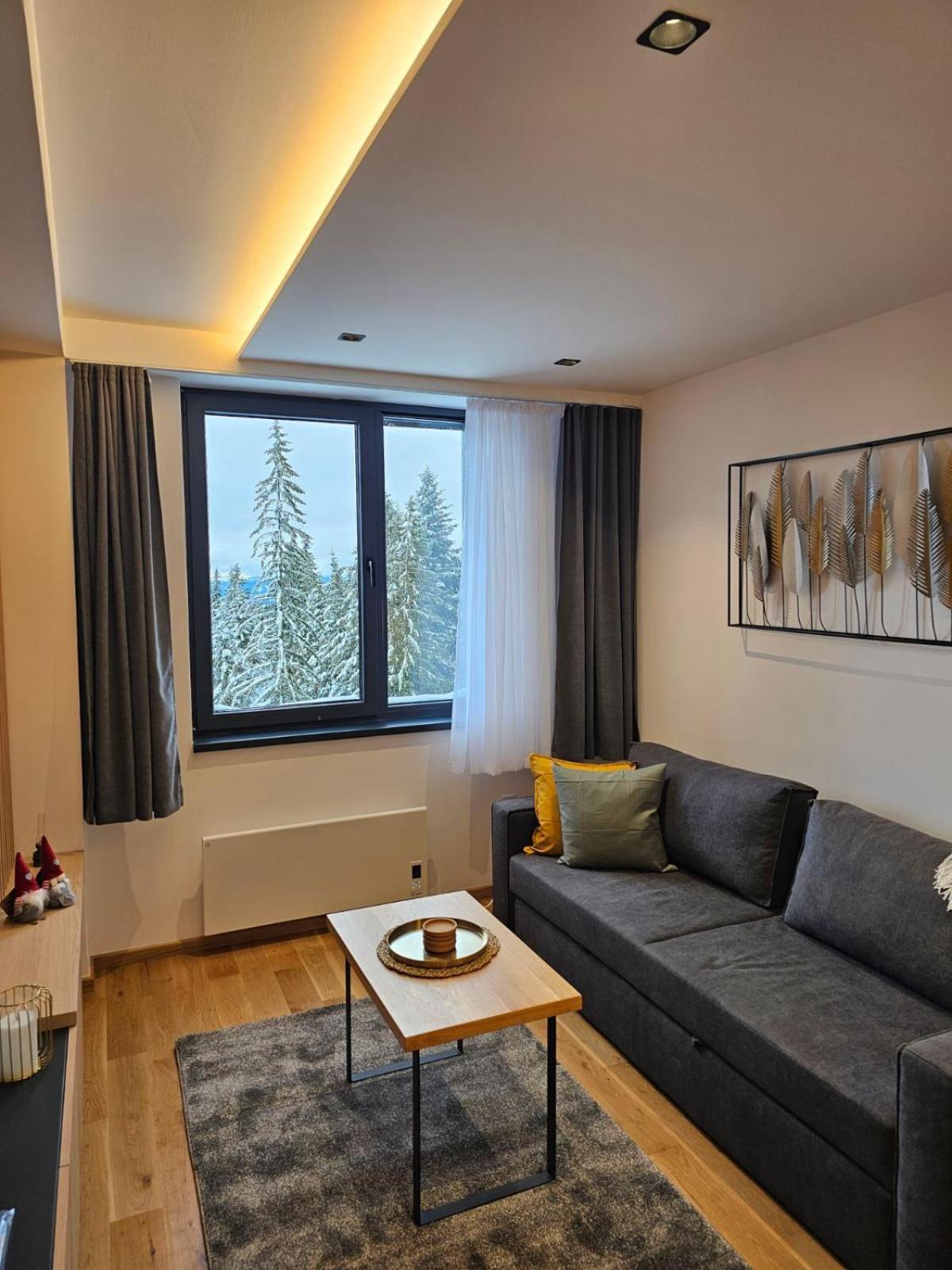 Apart Hotel Zlatni Javor, Apartment 410 Jahorina Esterno foto