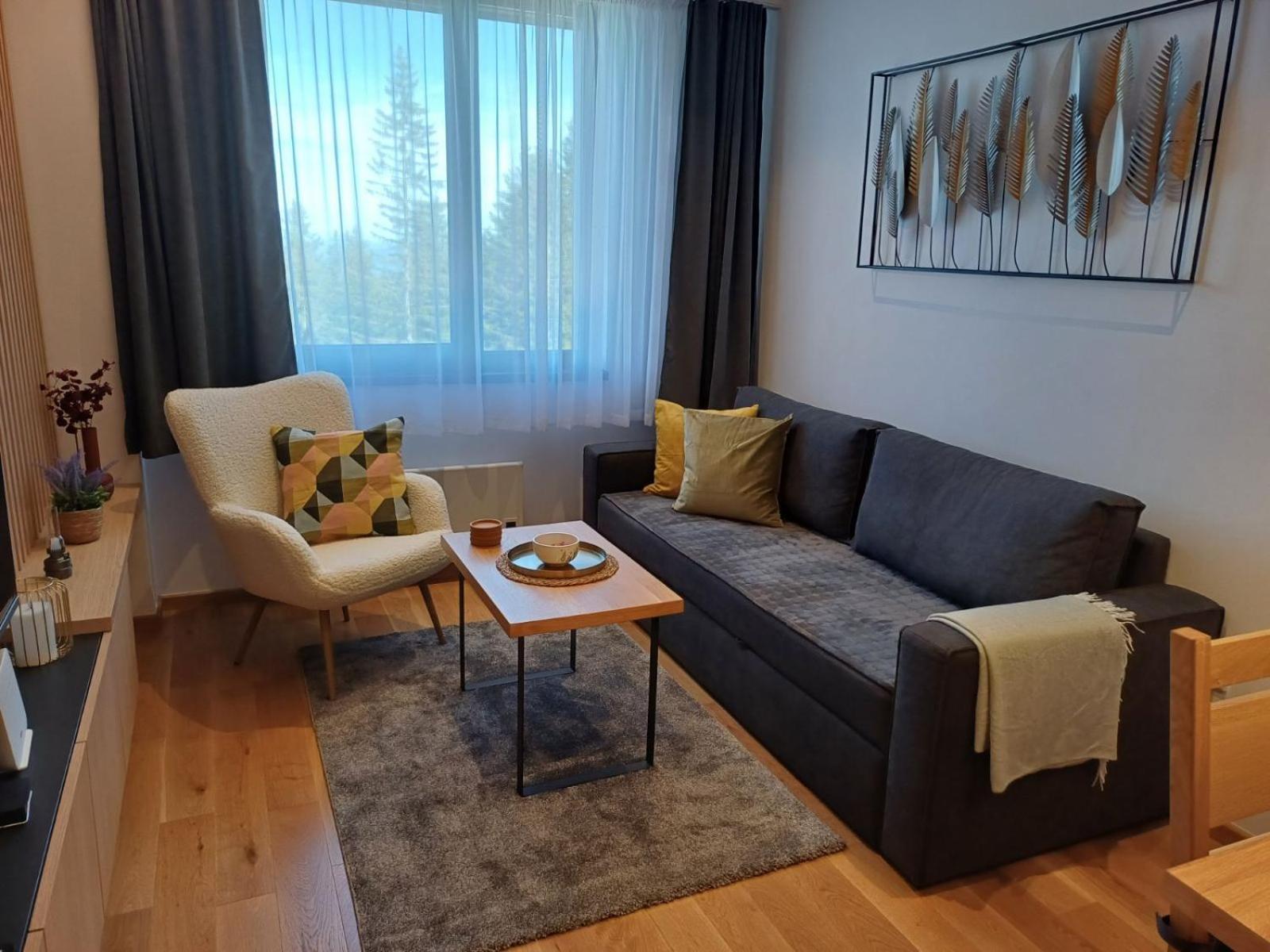 Apart Hotel Zlatni Javor, Apartment 410 Jahorina Esterno foto